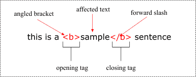 An HTML tag explained